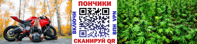купить наркотик  Чердынь  МАРИХУАНА план 